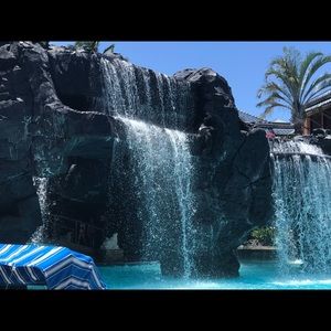 Meet your Posher, Wayne